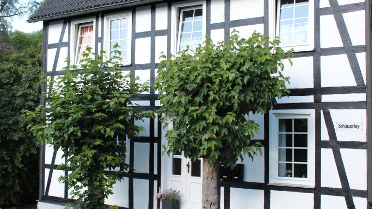 Ferienwohnung Olsberg