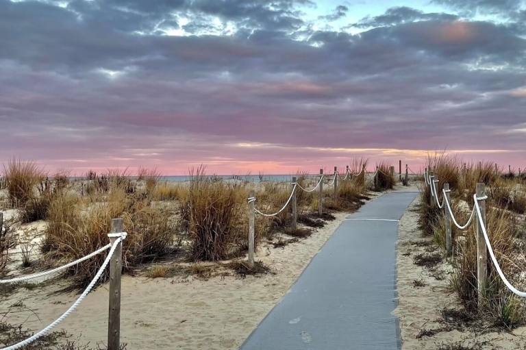 Condo  Dewey Beach