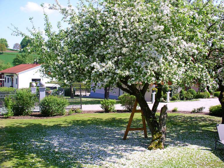 foto18
