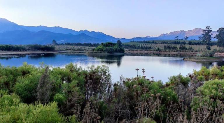 Blissful Country Garden King Bed Cottage