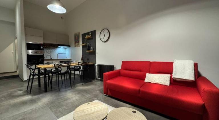 Beautiful holiday apartment | Pets are welcome in Villeurbanne