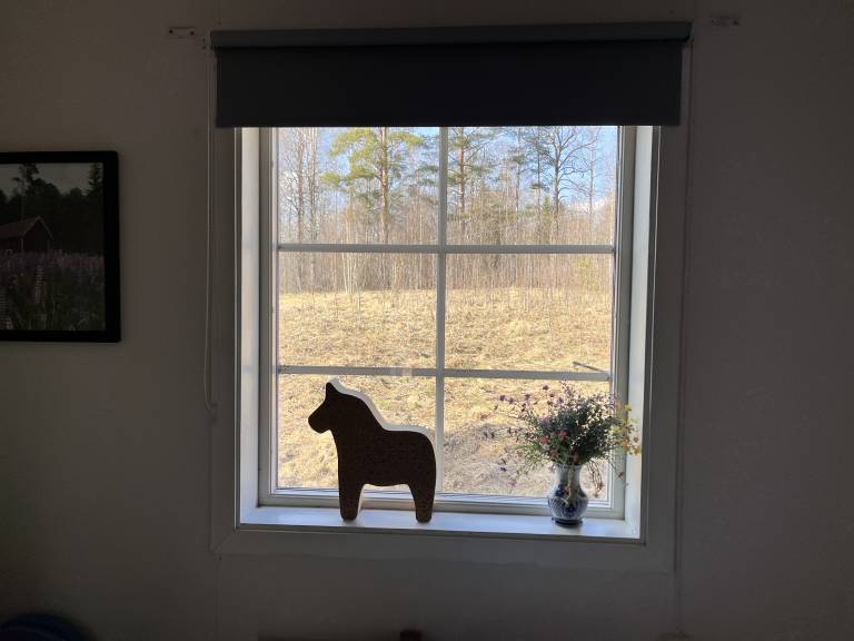 foto21