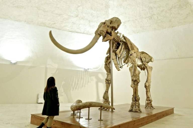 foto23