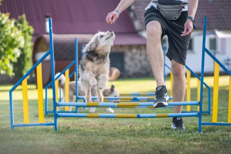 Ferienhaus Künzelsau