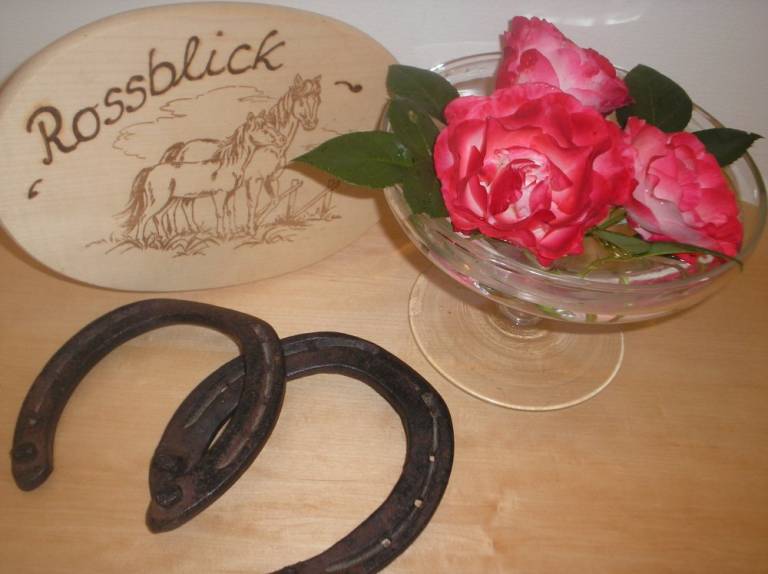 Ferienwohnung Seelbach