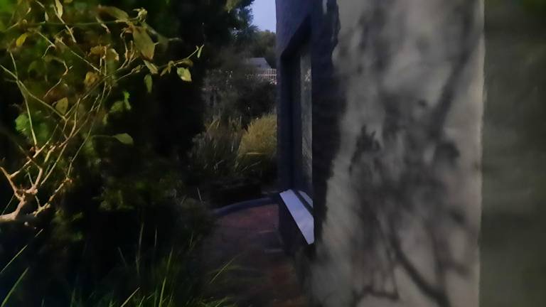 foto45