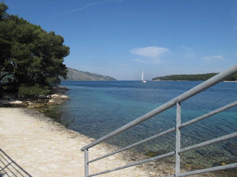 foto2