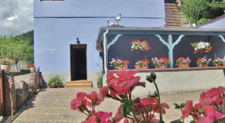 House with 2 rooms for 8 persons in Sélestat