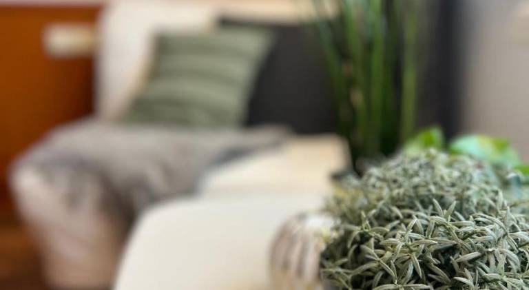 27 m&sup2; Ferienwohnung