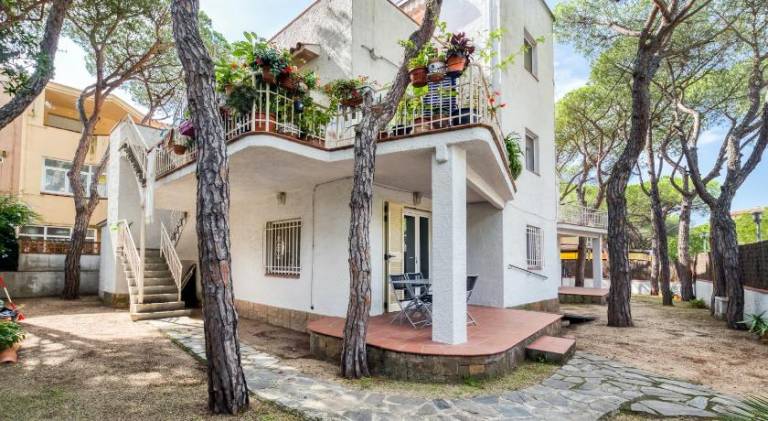 Rental apartment with terrace — photo 4