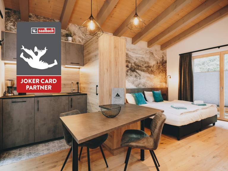 Studio flat  Saalbach-Hinterglemm