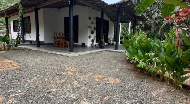 foto42