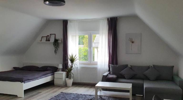foto19