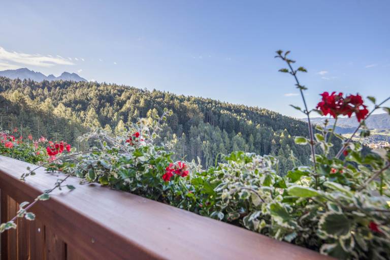 Holiday apartment with garden | Mountain view | Pet-friendly — photo 2