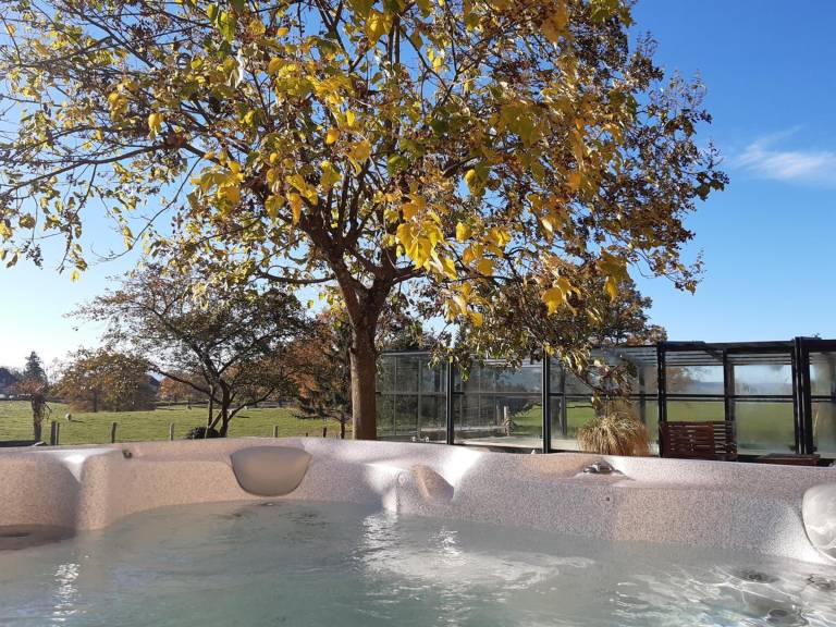Large house with heated private pool and pets allowed — photo 3