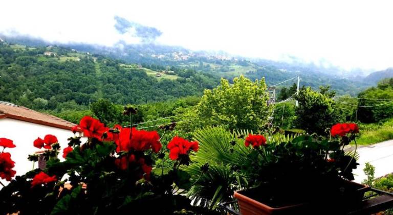 foto9