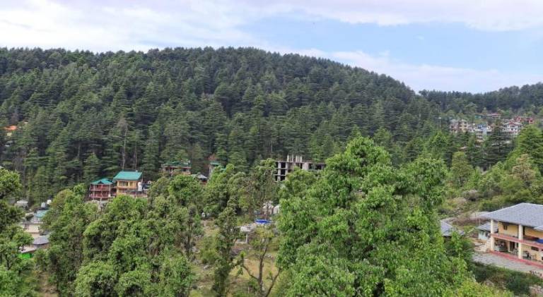 BHAGSU HOME STAY — photo 2