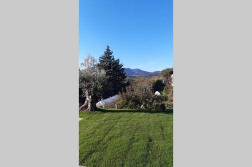 foto11