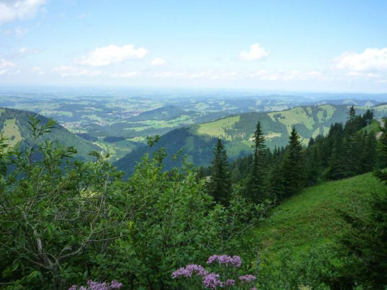 foto19