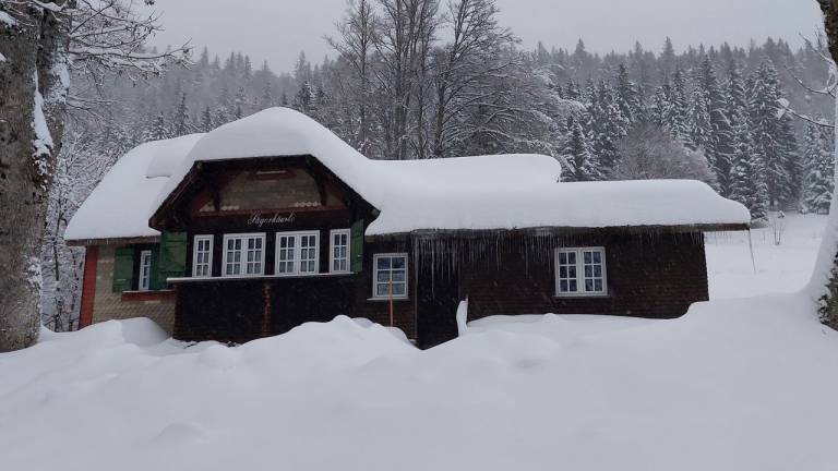 Ferienhaus Feldberg (Schwarzwald)