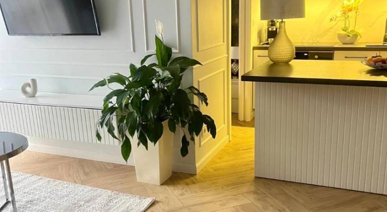 Apartment  Kielce Voivodeship