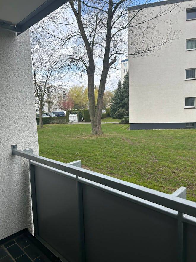 foto35