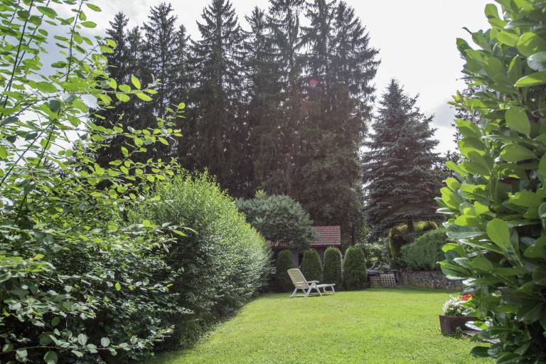 foto19