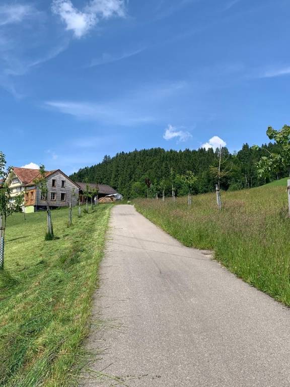 foto17