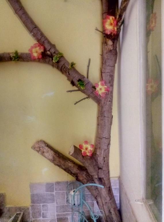 foto9