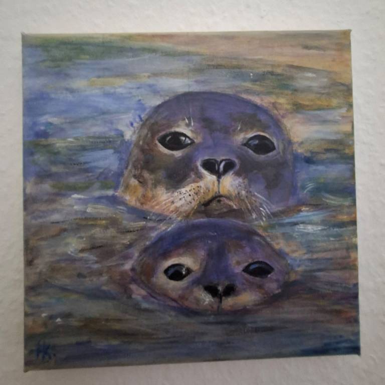 foto13