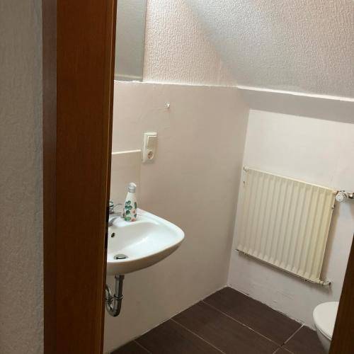 foto11