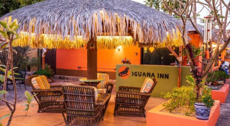 Iguana Inn — photo 4
