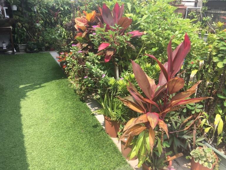 Accommodatie  Ximen