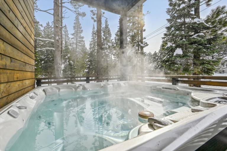 House  Alpine Meadows