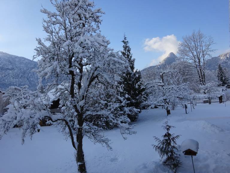 foto11