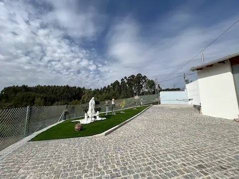 foto13