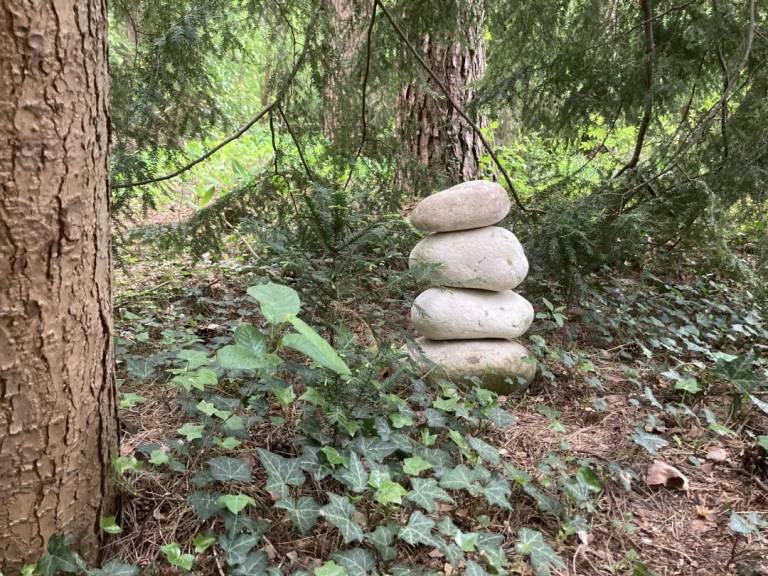 foto15