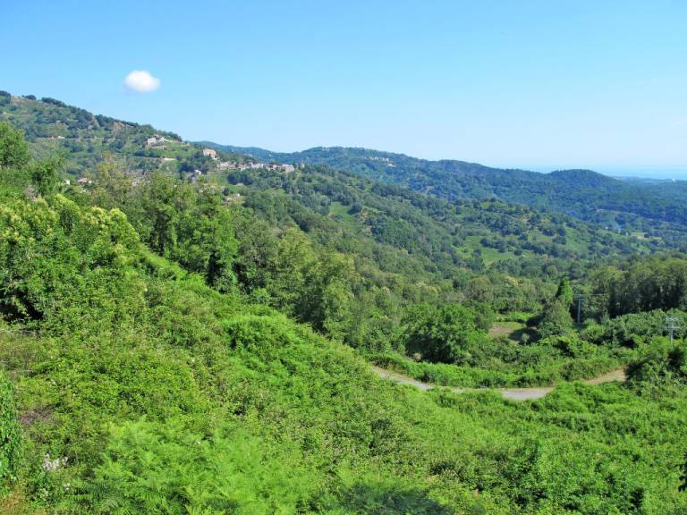 Maison de vacances Santa-Maria-Poggio