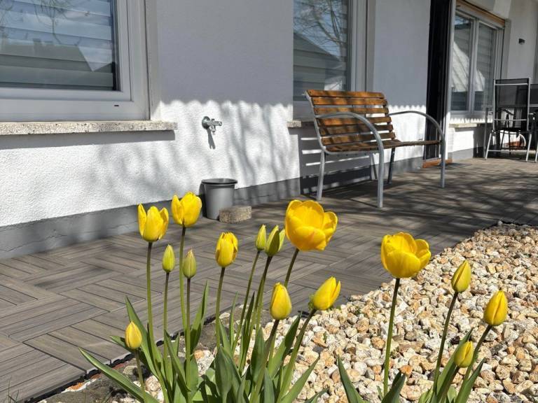 Ferienwohnung Greifenstein