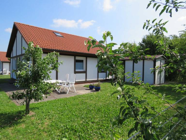 foto22