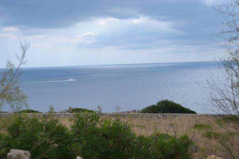 Villa with yard & barbecue | Panoramic view — photo 4