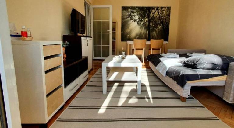 Rental apartment | Pets allowed in Bucharest