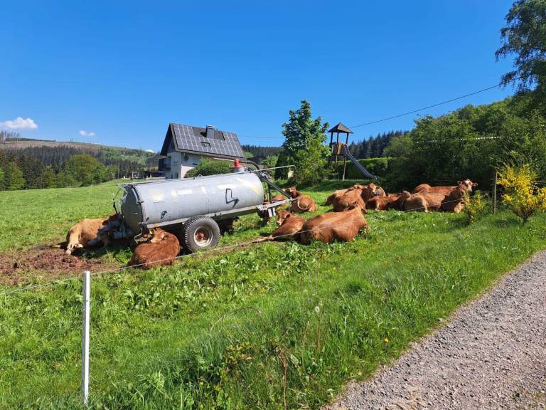 foto14