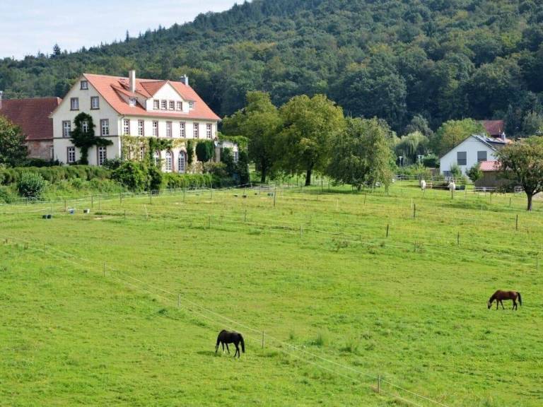 Ferienhaus Gaggenau