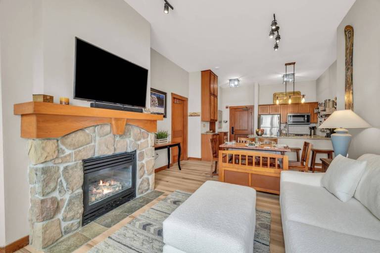 Condo Snowbird