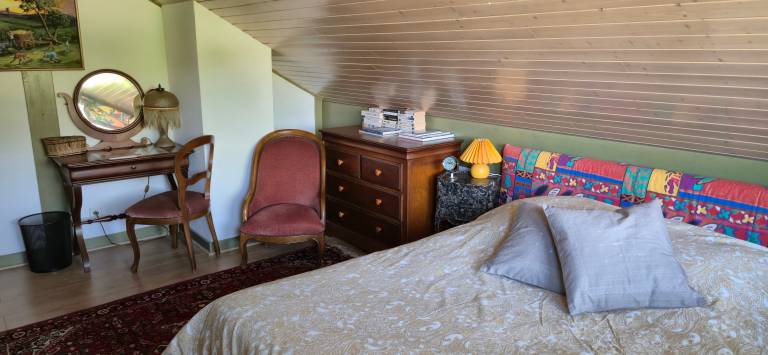 Nice dedicated room with fast internet, barbeque & yard | Garden view | Pets allowed in Nancy