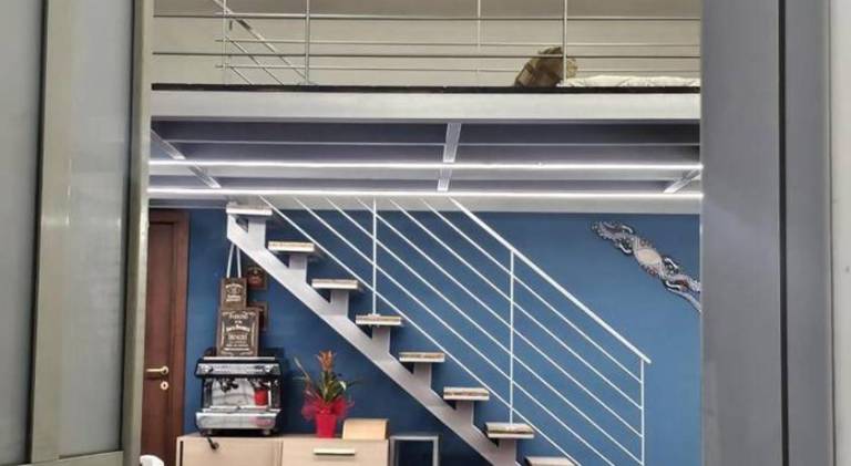 Beautiful rental apartment | Pets are welcome — photo 5
