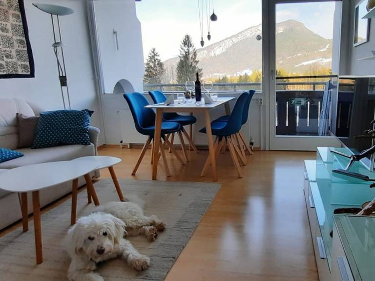 Ferienwohnung in Bad Goisern am Hallstättersee für max. 4 Gäste