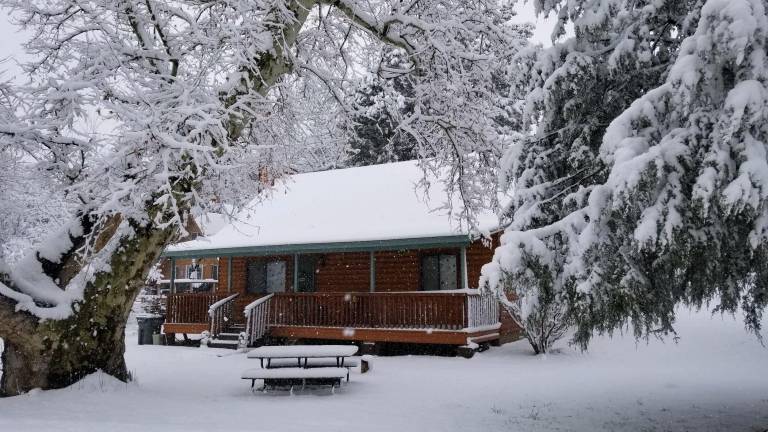 Cabin Payson