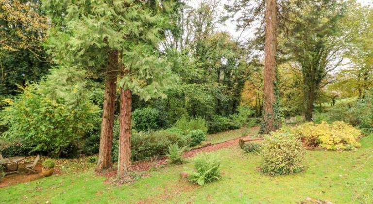 Spacious house | Pet-friendly — photo 5